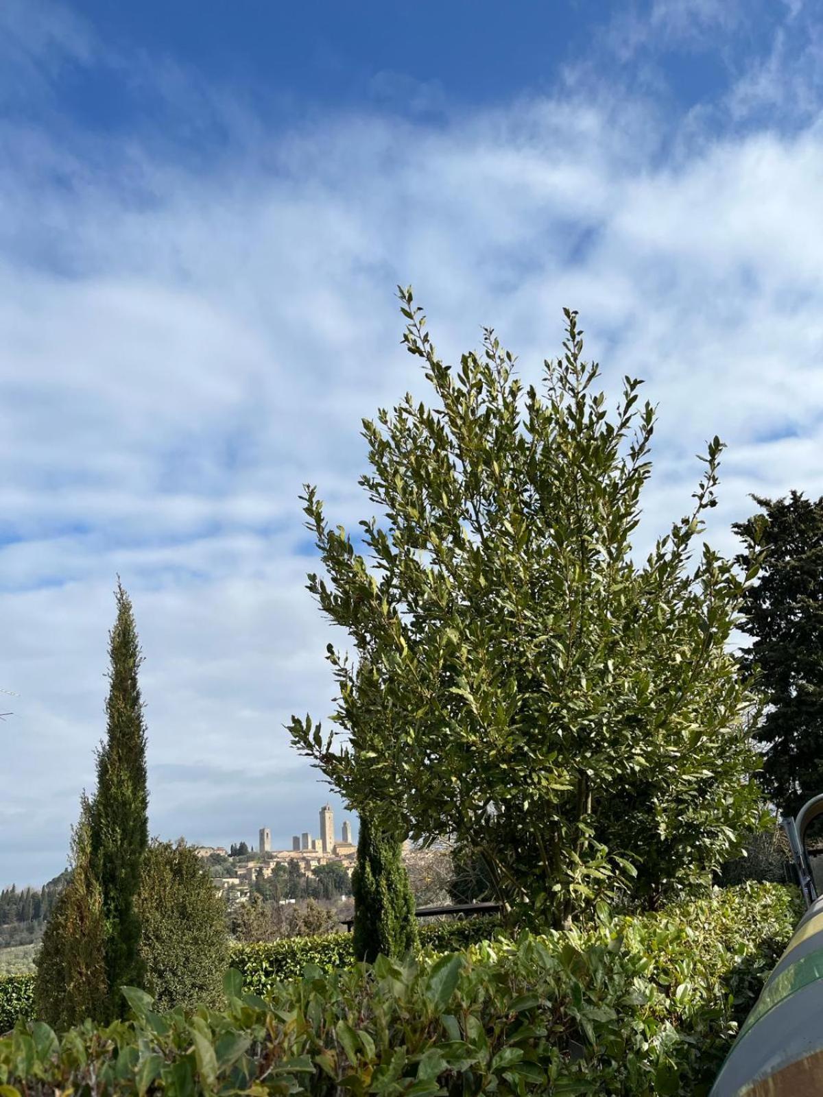 La Casina Di Cinzia Apartamento San Gimignano Exterior foto